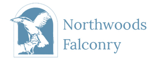 northwood falconry